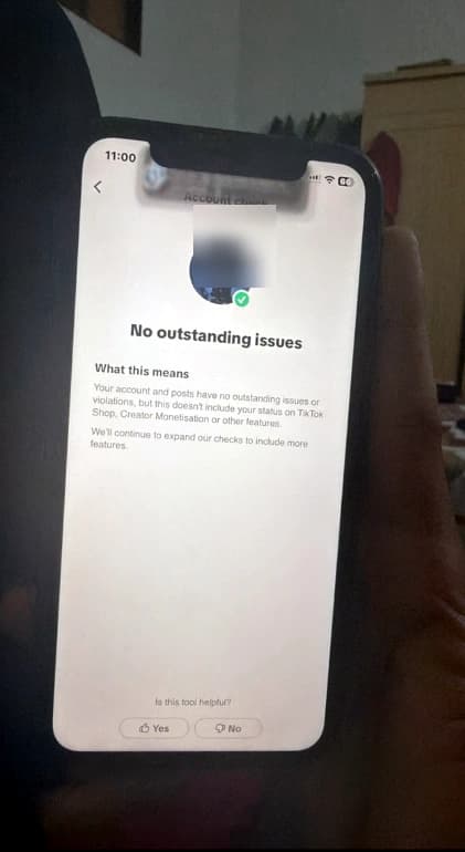 TikTok account check showing no outstanding issues