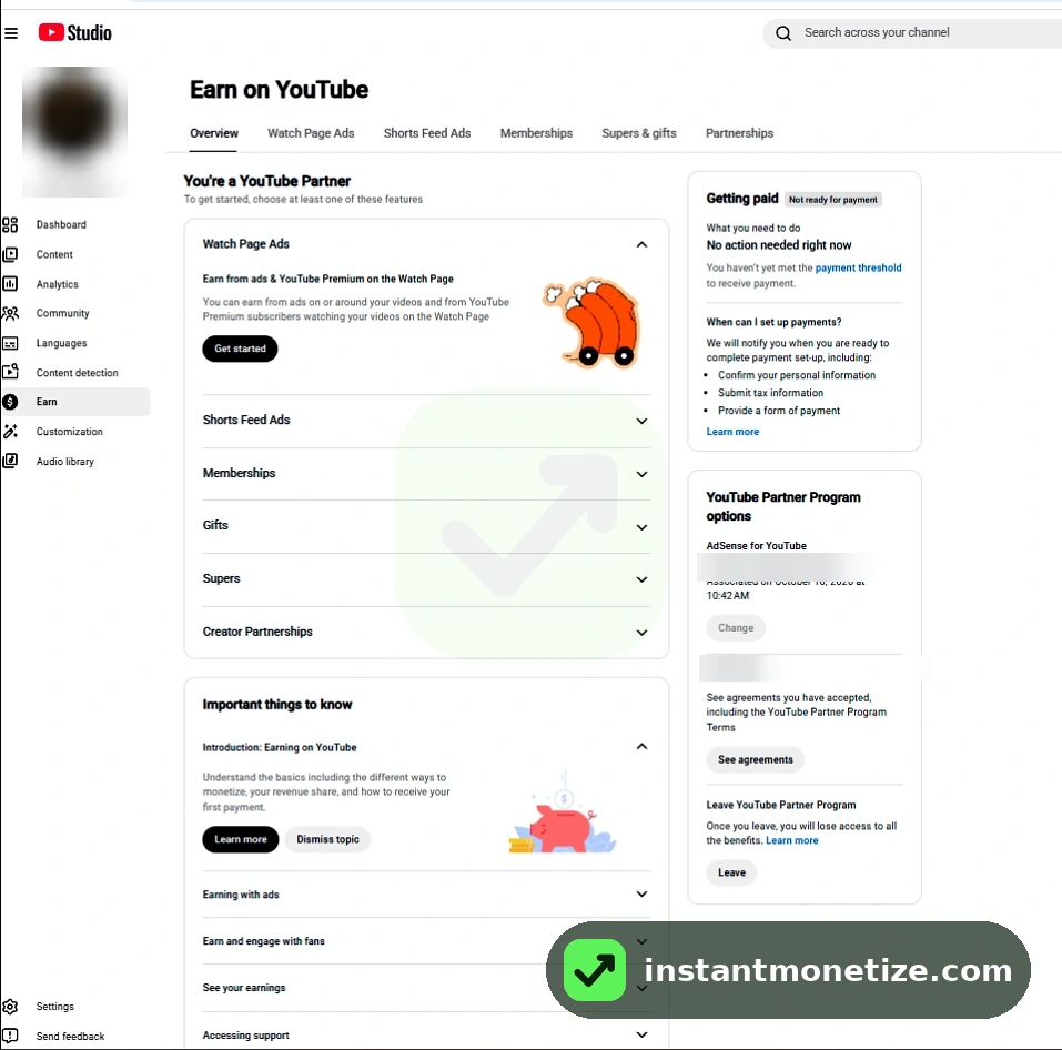 YouTube Partner, ads ready. YouTube Studio → Earn